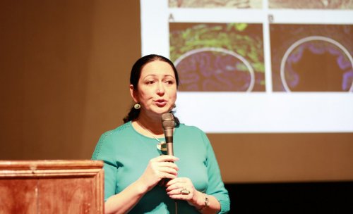 X Всероссийская научно-практическая конференция «Рациональная Фармакотерапия в УРОЛОГИИ - 2016»