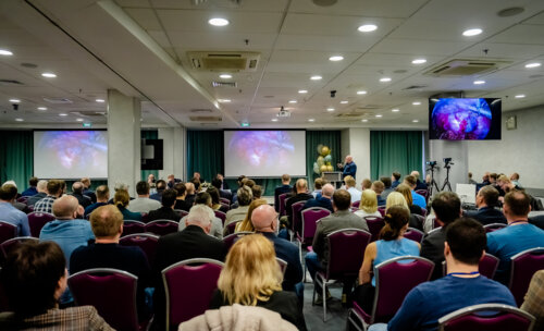 XII Всероссийская Школа по детской урологии-андрологии. 4 апреля 2024 года. День 1-й