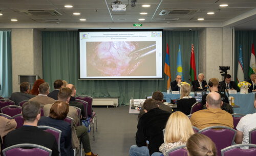 XIII Всероссийская Школа по детской урологии-андрологии