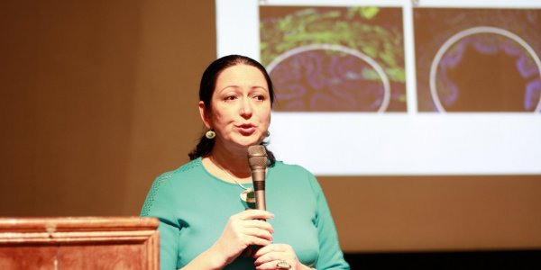 X Всероссийская научно-практическая конференция «Рациональная Фармакотерапия в УРОЛОГИИ - 2016»