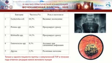 Малинин Г.Ю. - Лечение гиперплазии предстательной железы и конкрементов мочевого пузыря